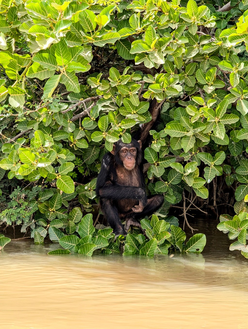 REISVERSLAG DAG 41 T/M&nbsp;50