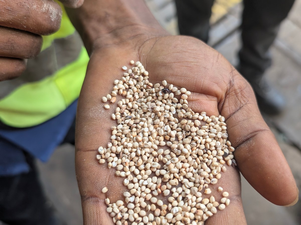 BDB BEZOEKT: SIERRA&nbsp;LEONE