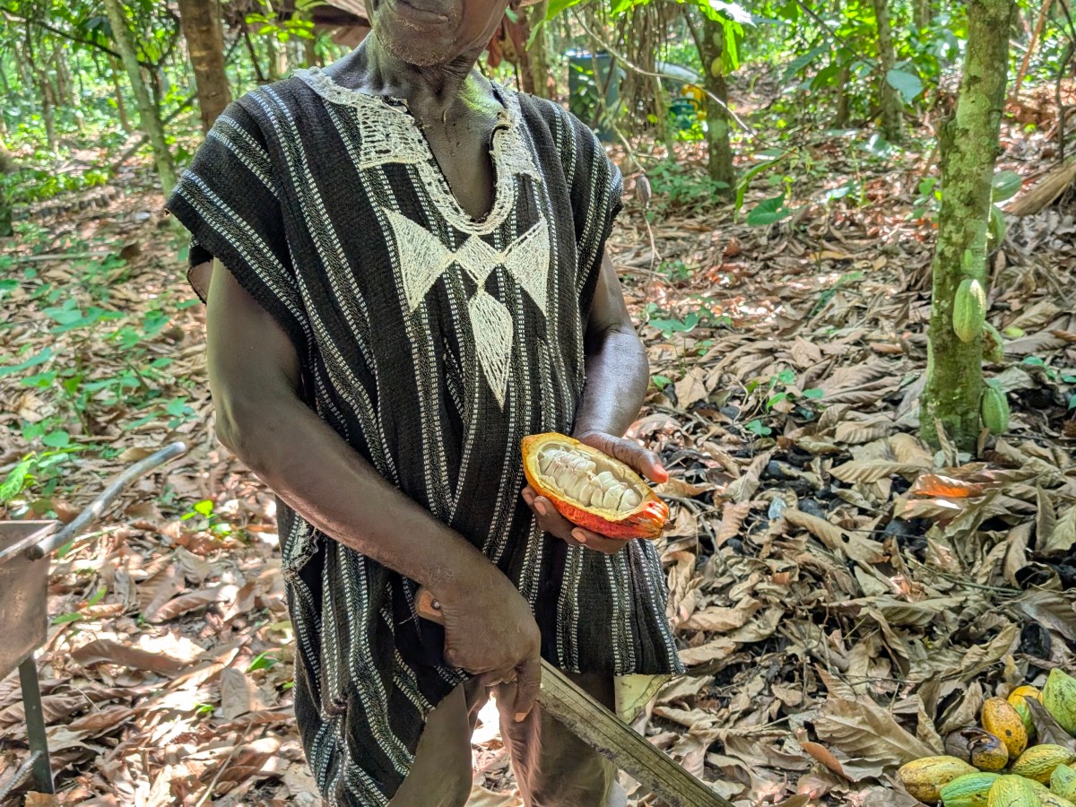 DE WERELD VAN CACAO: Het&nbsp;vervolg