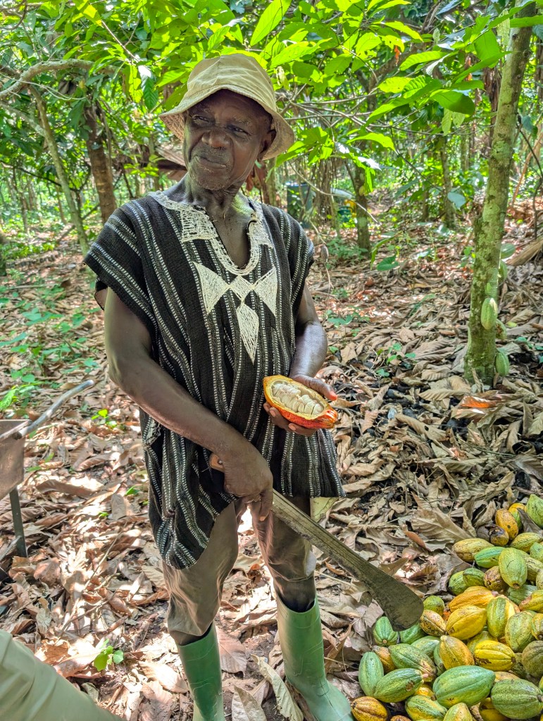 DE WERELD VAN CACAO: Het&nbsp;vervolg